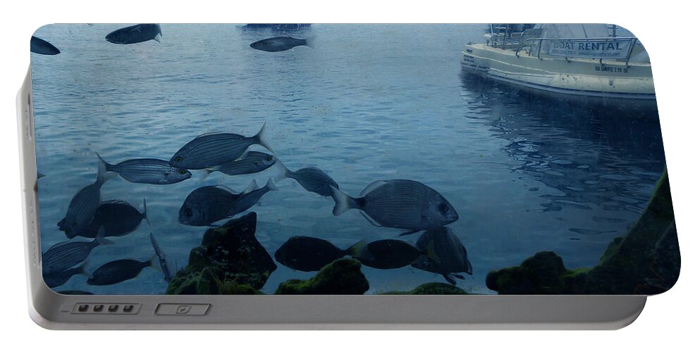 Colette Portable Battery Charger featuring the photograph Fresh Santorini Fish Greece by Colette V Hera Guggenheim