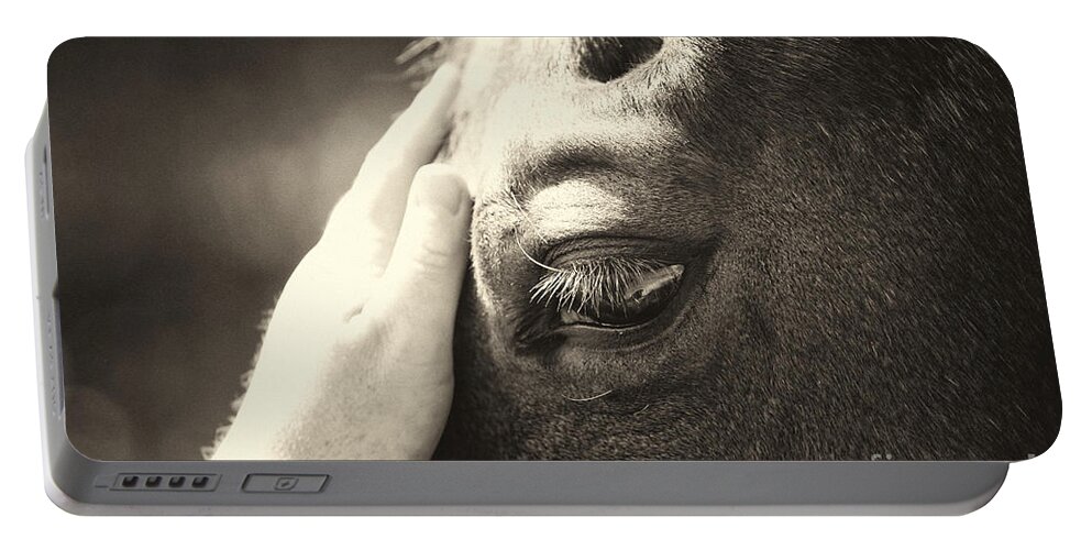 Horse Portable Battery Charger featuring the photograph Friends by Michelle Twohig