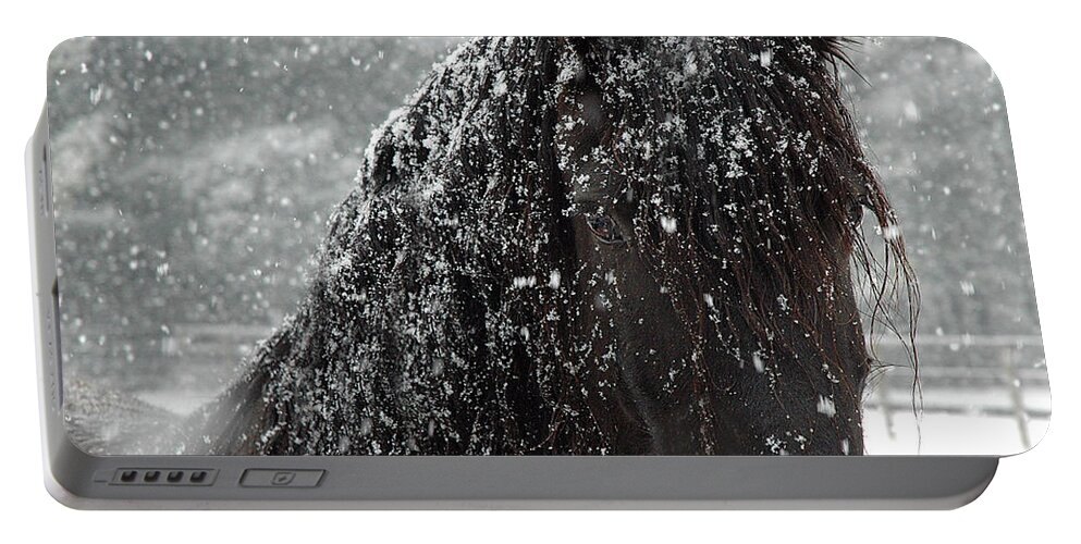 Horses Portable Battery Charger featuring the photograph Friesian Snow by Fran J Scott