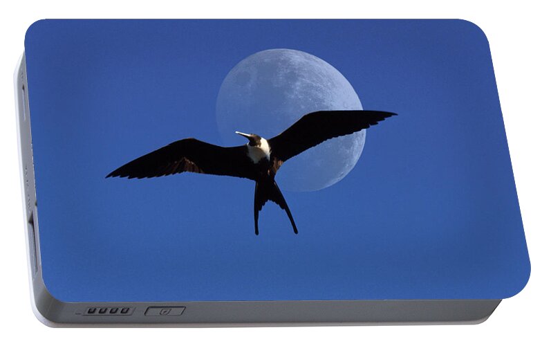 Frigate Portable Battery Charger featuring the photograph Frigatebird Moon by Jerry McElroy