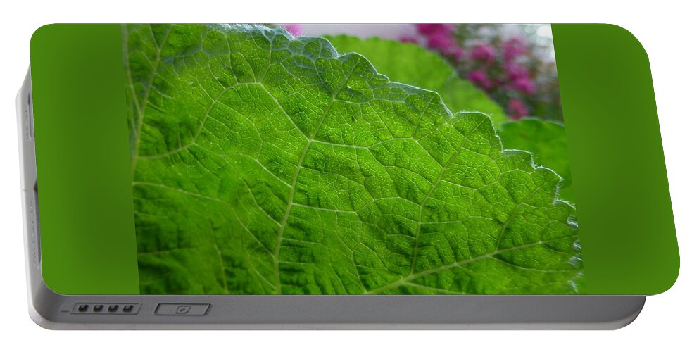 Leaf Portable Battery Charger featuring the photograph Fringe by Claudia Goodell