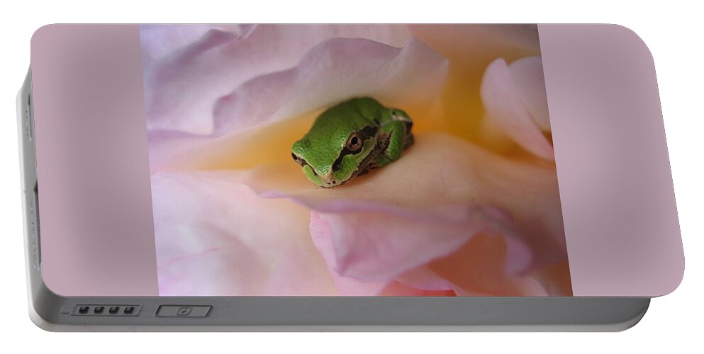 Chorus Frog Portable Battery Charger featuring the photograph Frog and Rose photo 2 by Cheryl Hoyle