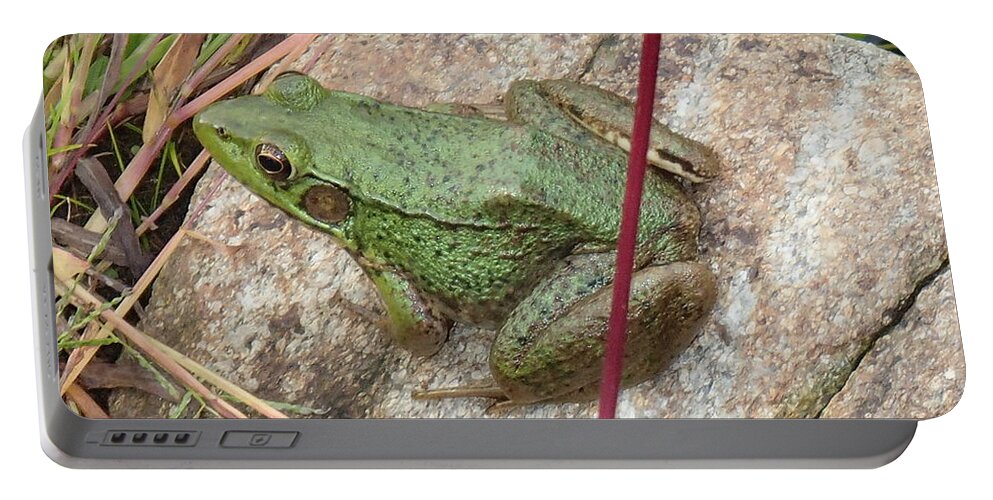 Frog Portable Battery Charger featuring the photograph Frog by Robert Nickologianis