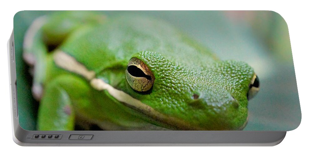 Frog Portable Battery Charger featuring the photograph Froggy Smile Squared by TK Goforth