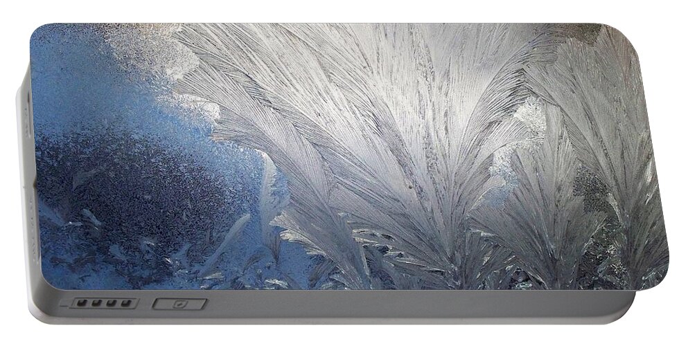 Frost Ferns Portable Battery Charger featuring the photograph Frost Ferns by Joy Nichols