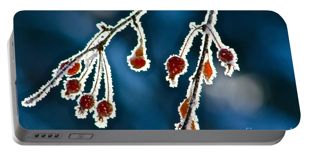 Frost Portable Battery Charger featuring the photograph Frosted Berries by Linda Bianic