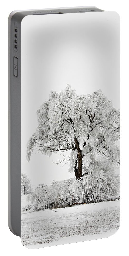 Hoar Portable Battery Charger featuring the photograph Frosted by Mary Jo Allen