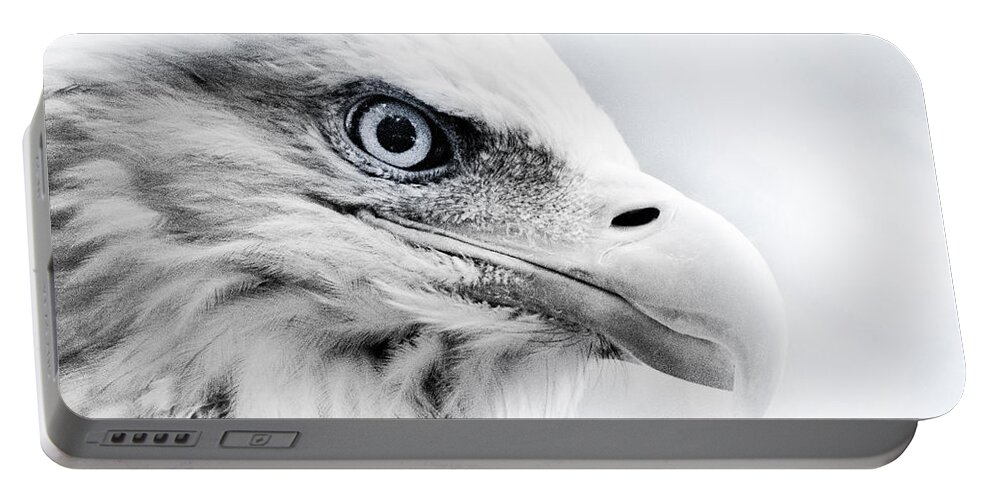 Eagle Portable Battery Charger featuring the photograph Frosty Eagle by Shane Holsclaw