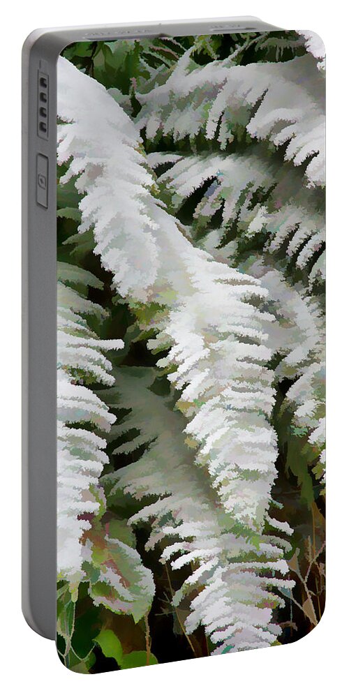Ferns Portable Battery Charger featuring the photograph Frosty Ferns by Ron Roberts