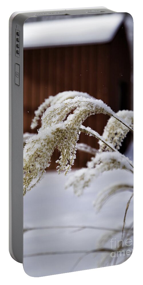 Snow Portable Battery Charger featuring the photograph Frosty Grass by Timothy Hacker