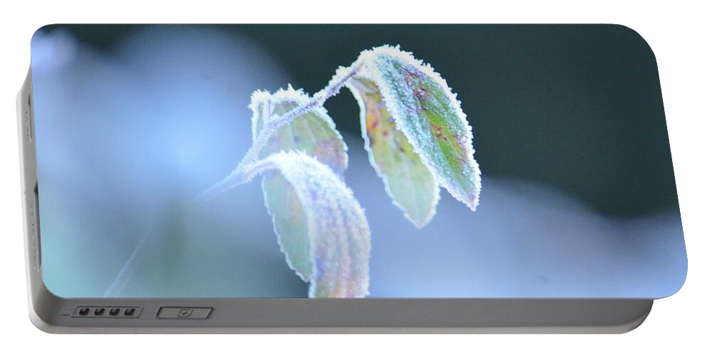Frosty Morn 2013 Portable Battery Charger featuring the photograph Frosty Morn 2013 by Maria Urso