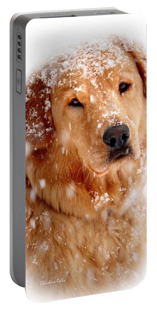 Golden Retriever Portable Battery Charger featuring the photograph Frosty Mug by Christina Rollo