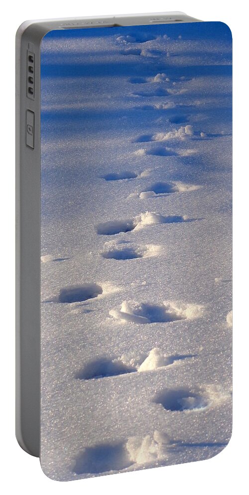 Skompski Portable Battery Charger featuring the photograph Frosty Path by Joseph Skompski