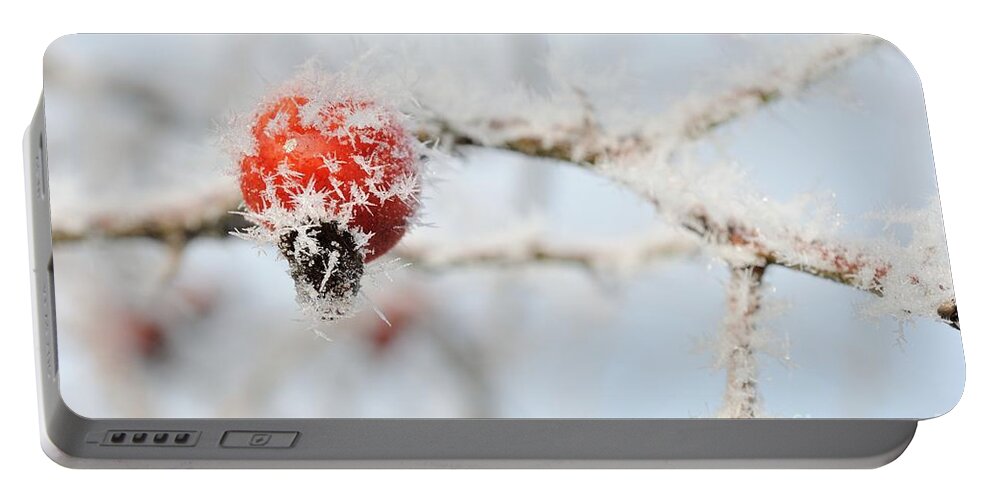  Portable Battery Charger featuring the photograph Frozen rose hip by Martin Capek