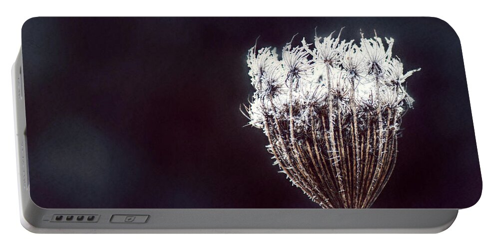 Queen Anne's Lace Portable Battery Charger featuring the photograph Frozen Wisps by Melanie Lankford Photography