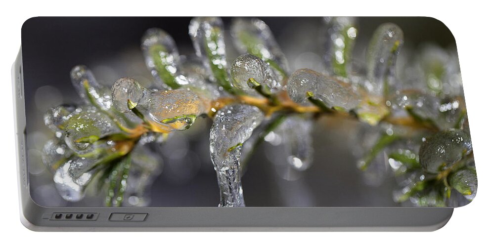 Yew Portable Battery Charger featuring the photograph Frozen Yew by Eunice Gibb