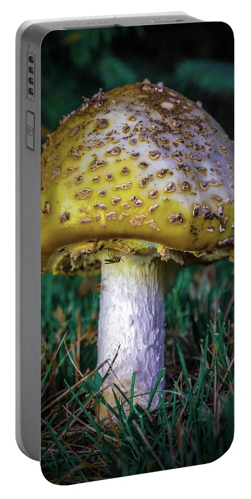 Mushroom Portable Battery Charger featuring the photograph Fun Gus by Rick Bartrand