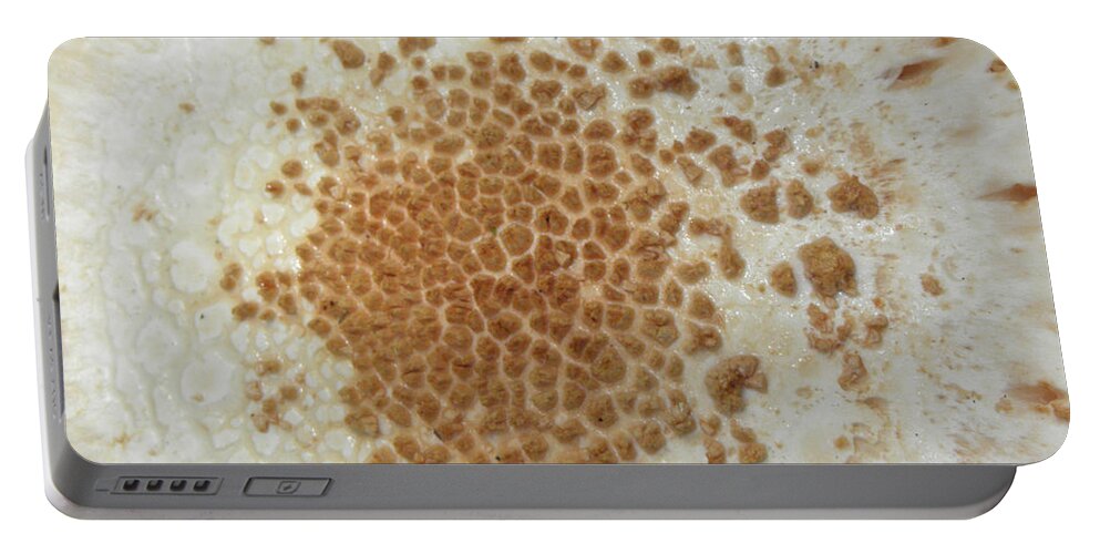 Mushroom Portable Battery Charger featuring the photograph Fungi Dimensions by Kim Galluzzo