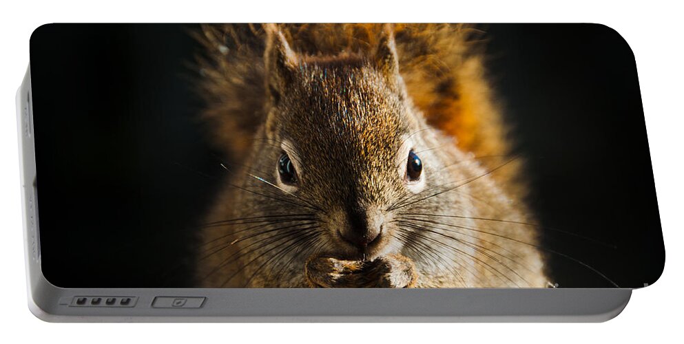Squirrel Portable Battery Charger featuring the photograph Furry Friend by Cheryl Baxter