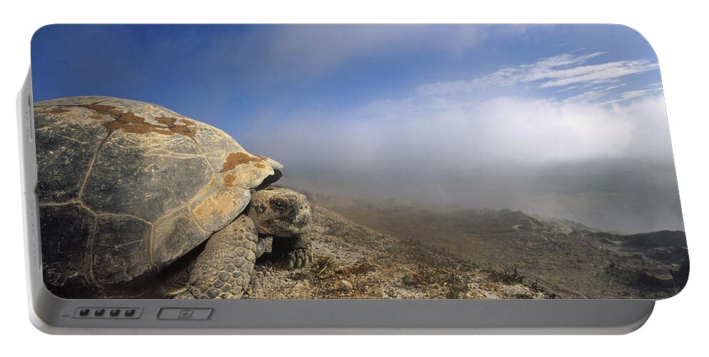 Feb0514 Portable Battery Charger featuring the photograph Galapagos Giant Tortoise Overlooking by Tui De Roy