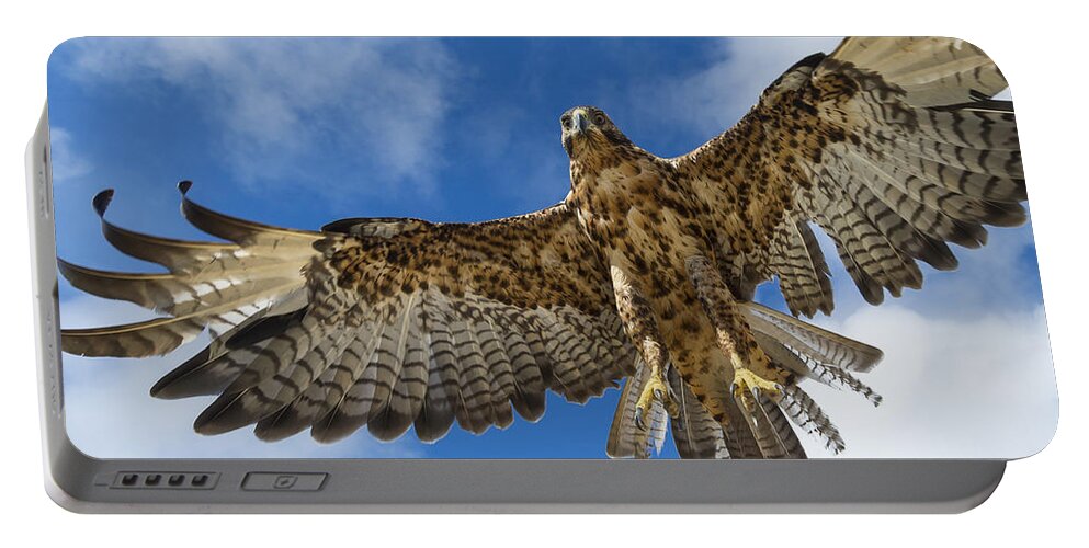 531729 Portable Battery Charger featuring the photograph Galapagos Hawk Flying Alcedo Volcano by Tui De Roy