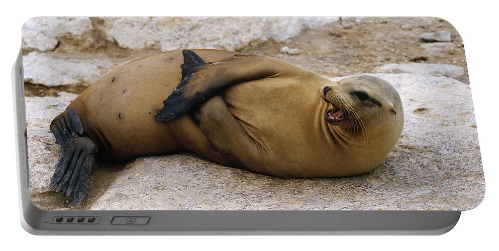 Feb0514 Portable Battery Charger featuring the photograph Galapagos Sea Lion Calling by Konrad Wothe