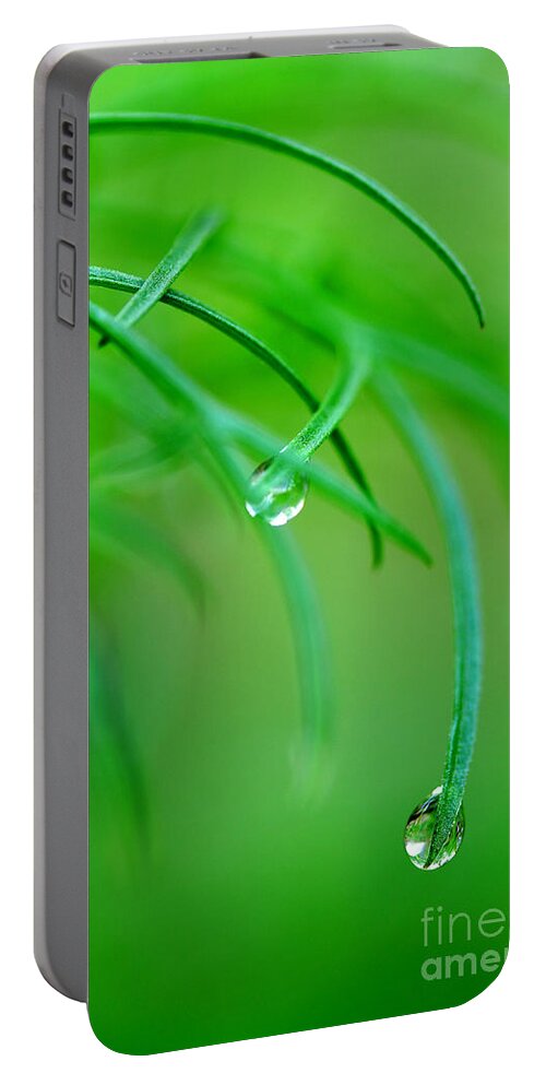 Dew Drops Portable Battery Charger featuring the photograph Garden Gifts by Michael Eingle
