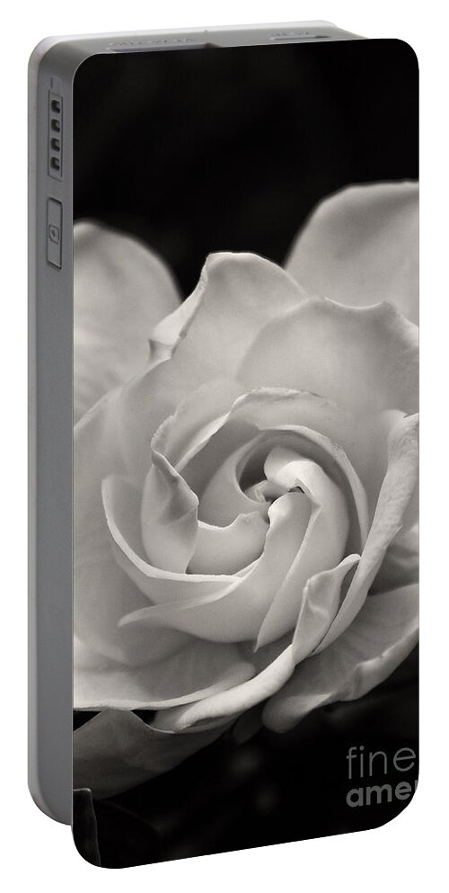 Gardenia Portable Battery Charger featuring the photograph Gardenia Bloom in Sepia by Jill Lang