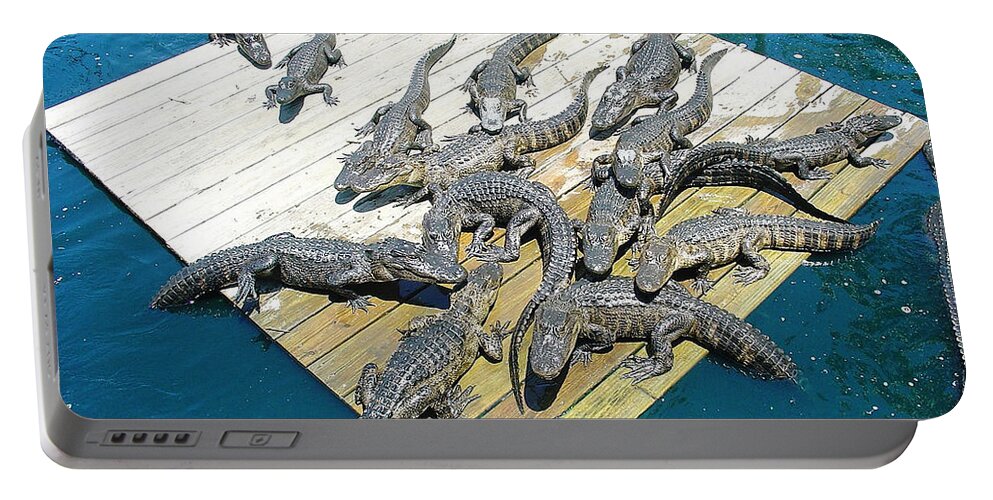 Clearwater Portable Battery Charger featuring the photograph Gator Platform by David Nicholls