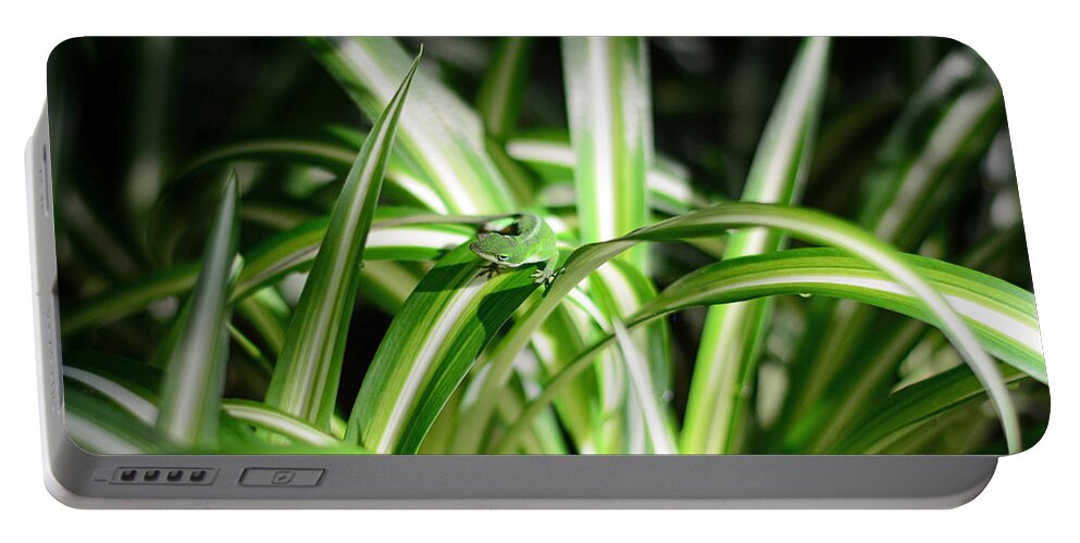 Gecko Portable Battery Charger featuring the photograph Gecko Camouflaged on Spider Plant by Connie Fox