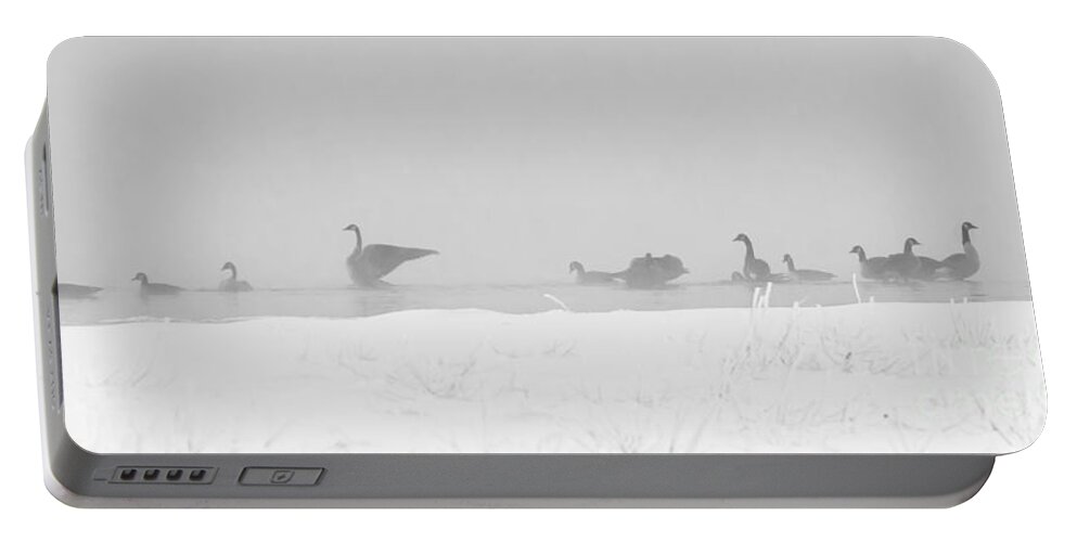 Geese Portable Battery Charger featuring the photograph Geese by Steven Ralser