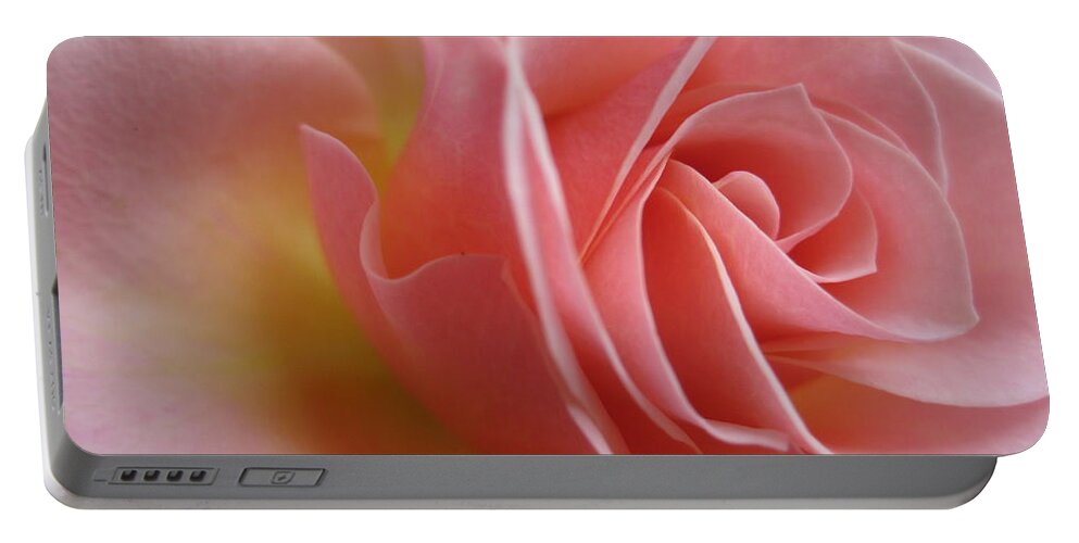 Floral Portable Battery Charger featuring the photograph Gentle Pink Rose by Tara Shalton
