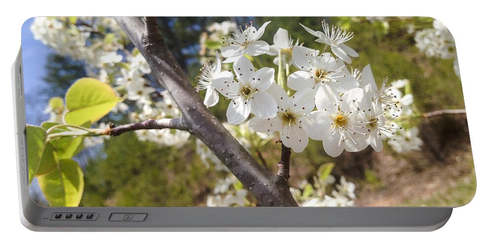  Blossoms Portable Battery Charger featuring the photograph Georgia Blossoms by Jan Dappen
