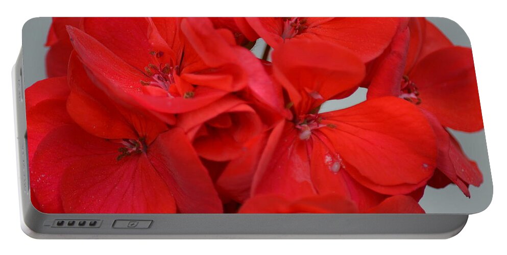 Geranium Red Portable Battery Charger featuring the photograph Geranium Red by Maria Urso