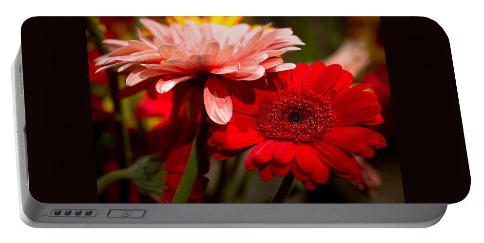  Gerbera Daisies Portable Battery Charger featuring the photograph Gerbera Daisies by Patrice Zinck