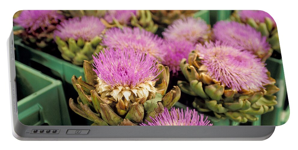 No People; Horizontal; Outdoors; Day; Focus On Foreground; Still Life; Large Group Of Objects; Nature; Flower; Flower Head; Aachen;germany; Artichoke Portable Battery Charger featuring the photograph Germany Aachen Munsterplatz Artichoke Flowers by Anonymous