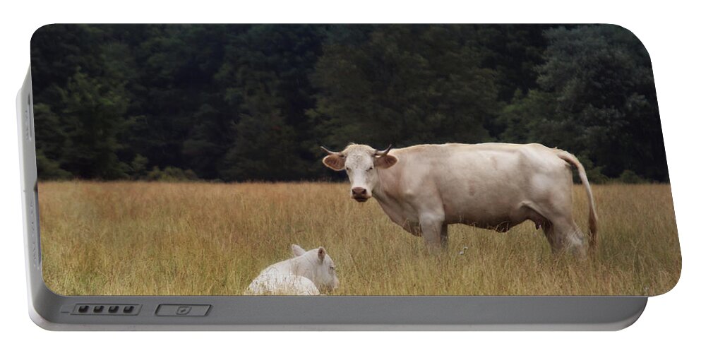 Cow Portable Battery Charger featuring the photograph Ghost Cow And Calf by Beth Ferris Sale