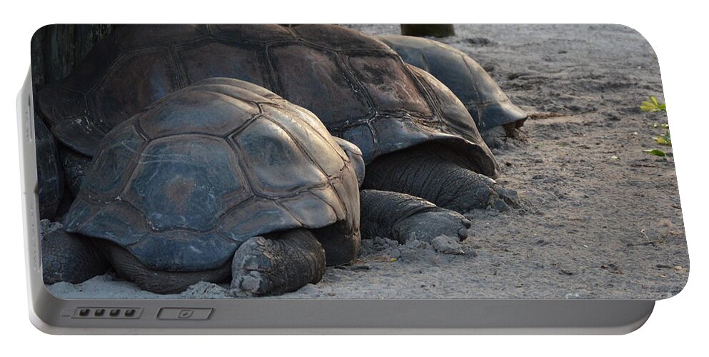 Aldabra Tortise Portable Battery Charger featuring the photograph Giant Tortise by Robert Meanor