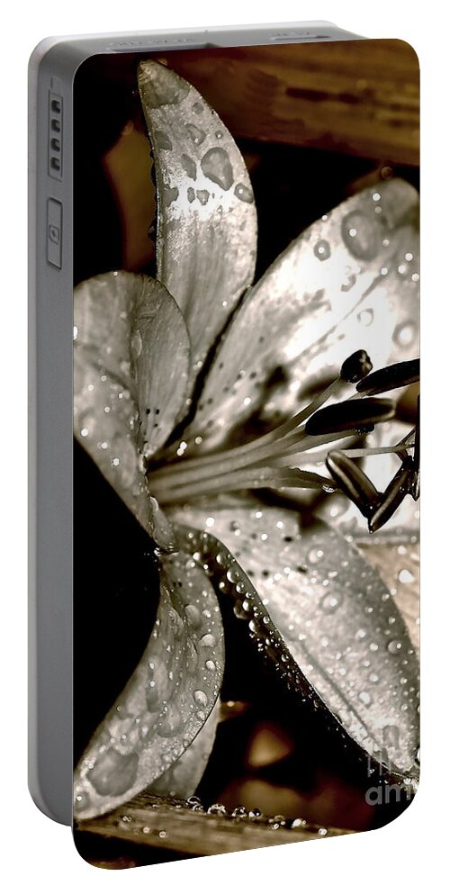 Lily Portable Battery Charger featuring the photograph Gilded Lilies 3 by Linda Bianic