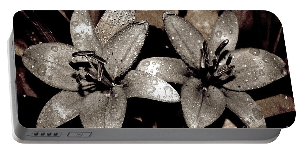 Lily Portable Battery Charger featuring the photograph Gilded Lilies by Linda Bianic