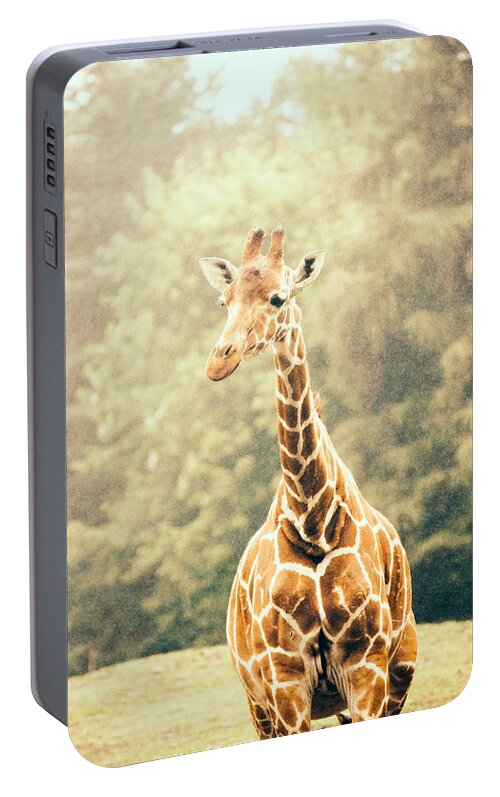 Vintage Portable Battery Charger featuring the photograph Giraffe In The Rain by Pati Photography