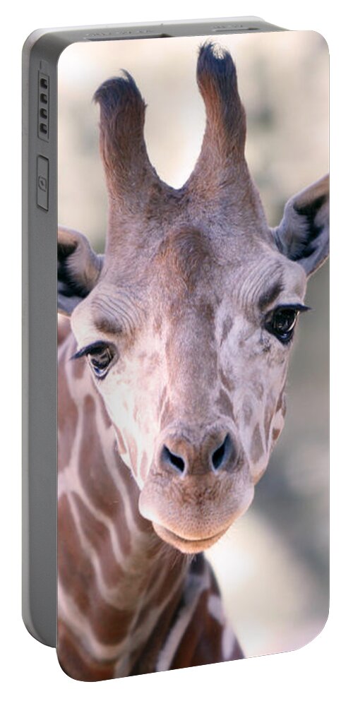 Giraffe Portable Battery Charger featuring the photograph Giraffe Staring by Shoal Hollingsworth