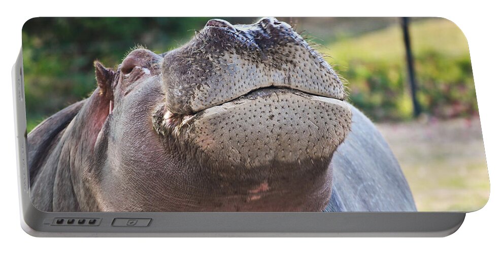 Hippo Portable Battery Charger featuring the photograph Give me a kiss hippo by Eti Reid