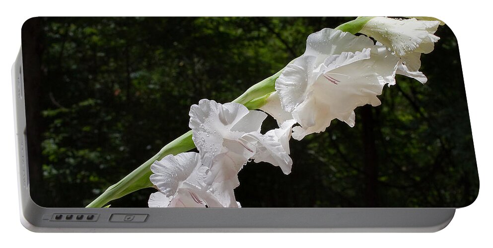 Flower Portable Battery Charger featuring the photograph Gladiolas in the Rain by Farol Tomson