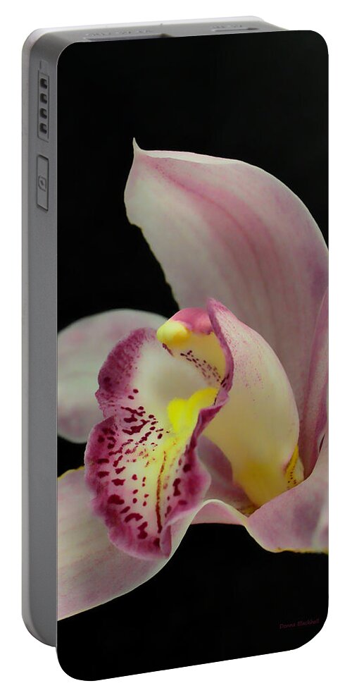 Orchid Portable Battery Charger featuring the photograph Glamour Pose by Donna Blackhall