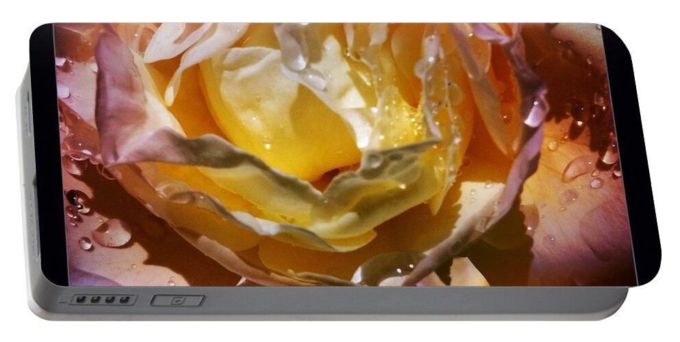 Raindrops Portable Battery Charger featuring the photograph Glistening Rose by Denise Railey