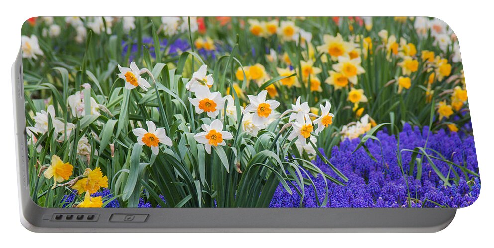 Blue Portable Battery Charger featuring the photograph Glorious Spring by Bill Pevlor