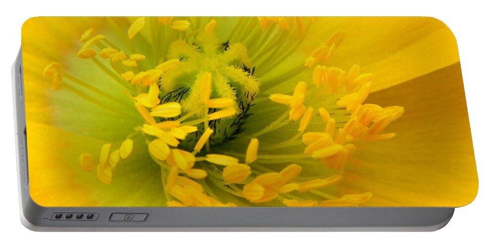 Flower Portable Battery Charger featuring the photograph Glory of Nature by Deb Halloran