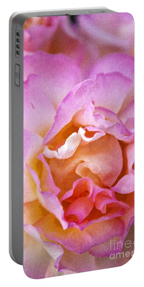 Rose Portable Battery Charger featuring the photograph Glow from within by David Millenheft