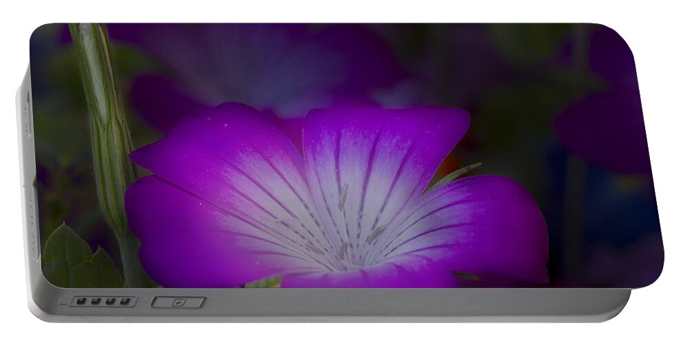 Flower Portable Battery Charger featuring the photograph Glow by Robert Woodward